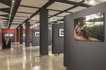 Vernissage-8560