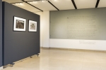 Vernissage-8566